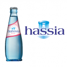 Hassia Sprudel Exclusiv 20x0,25l Kasten Glas